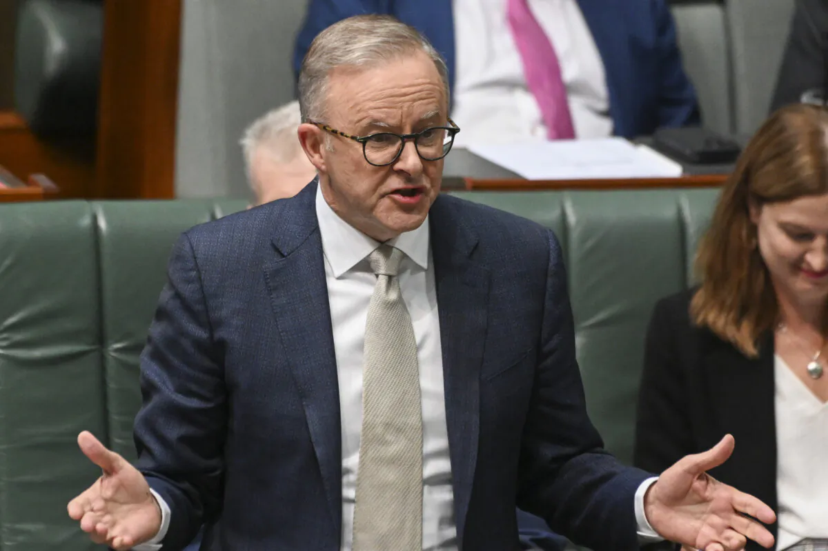 Prime Minister Anthony Albanese during Question Time at Parliament House in Canberra, Australia on Feb. 14, 2023. (Martin Ollman/Getty Images)
