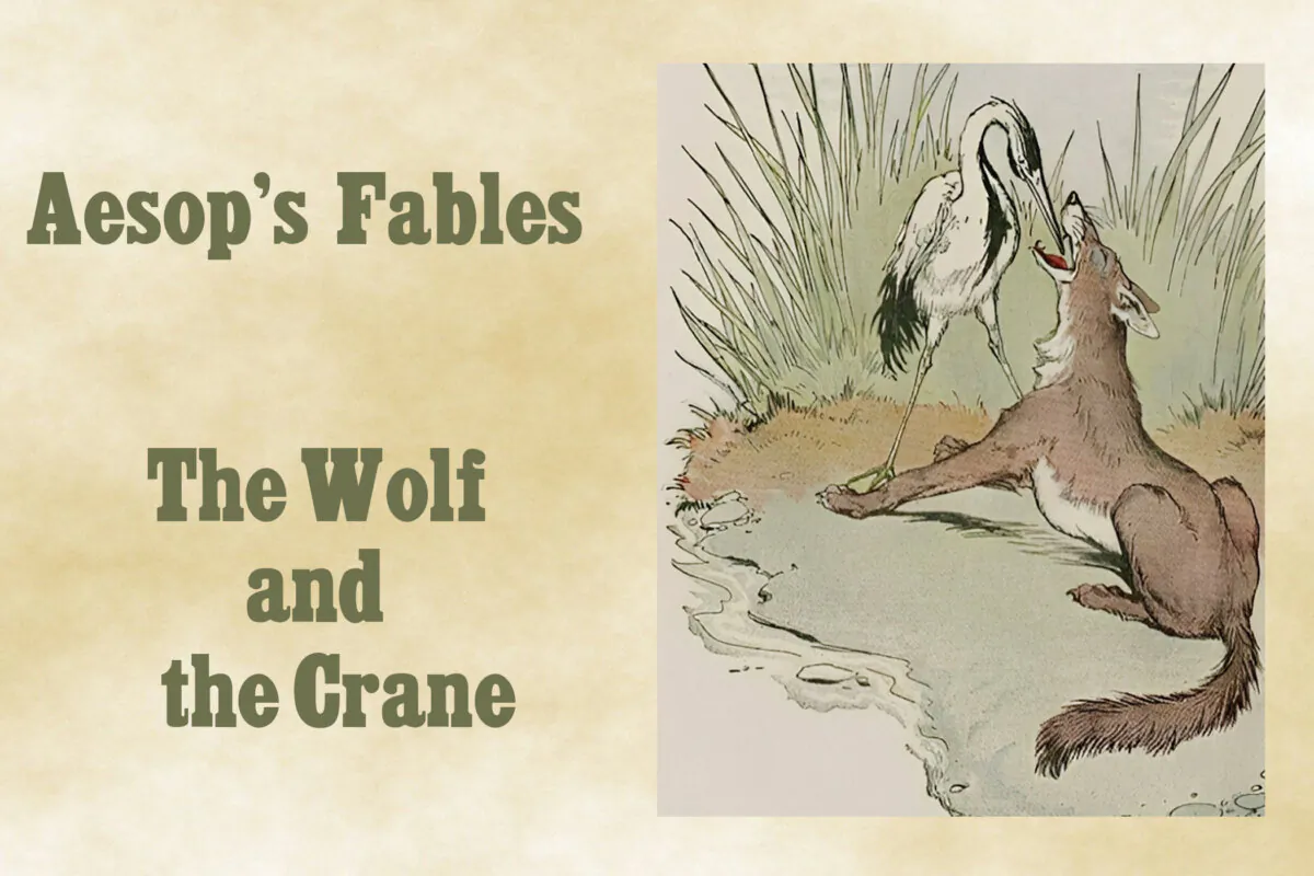 "The Wolf and the Crane," illustrated by Milo Winter, from “The Aesop for Children,” 1919. (PD-US)