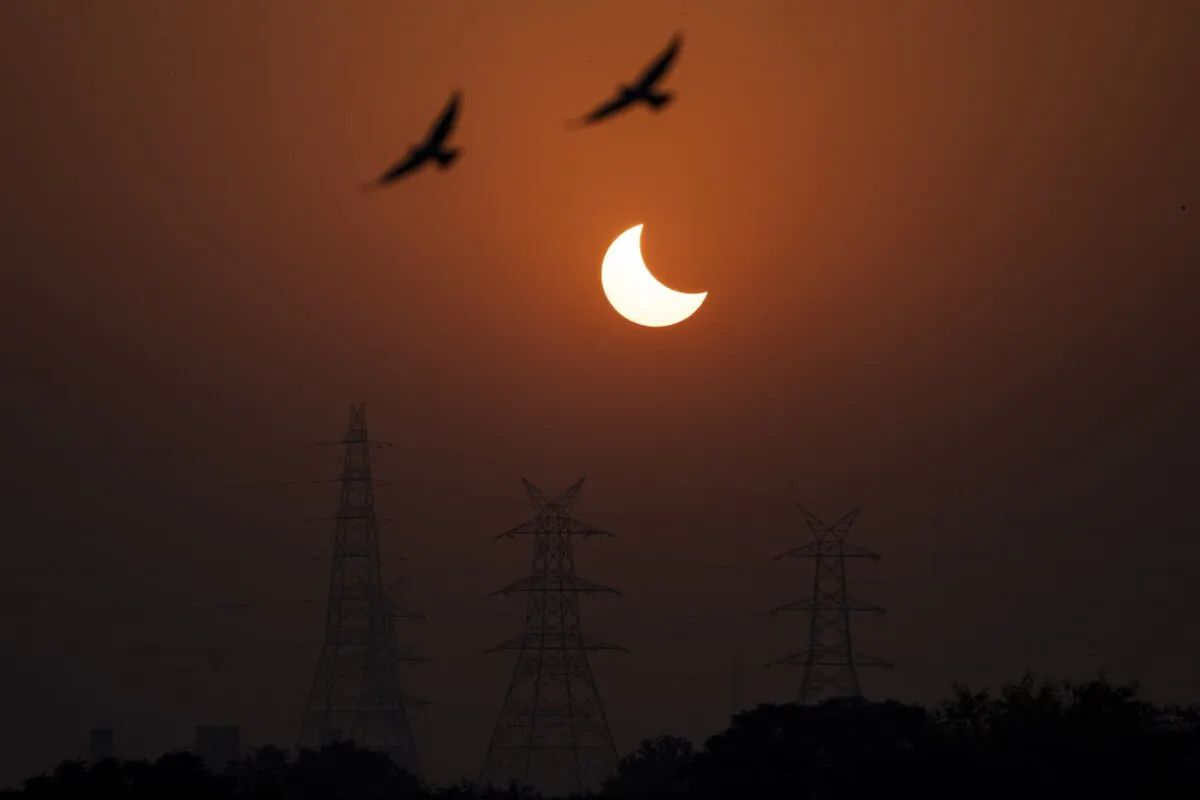 Eagles fly past a partial solar eclipse in New Delhi, India, on Oct. 25, 2022. (The Canadian Press/AP/Altaf Qadri)