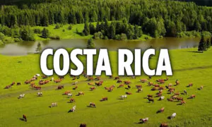 Piano Music to Relax Your Mind & Soul: Costa Rica | Simple Happiness
