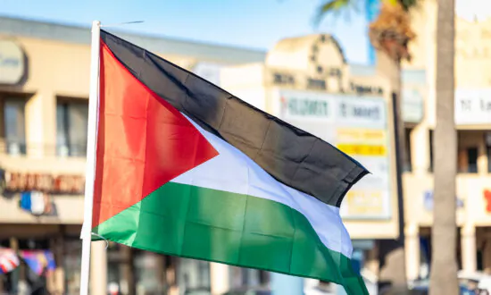 ‘School Is the Best Place’: Students Urged to Avoid Pro-Palestinian Rally in Melbourne
