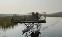 2023 a Great Year for Canada’s Wild Rice Production
