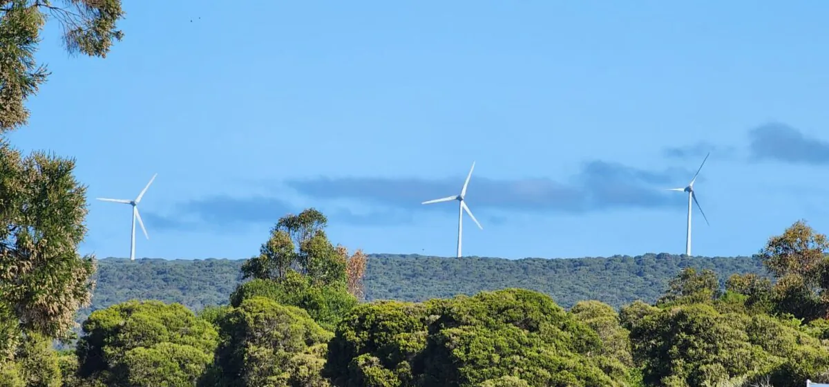 Three wind turbines can be seen near Albany, Western Australia, on Oct 13, 2023. (Susan Mortimer/The Epoch Times)
