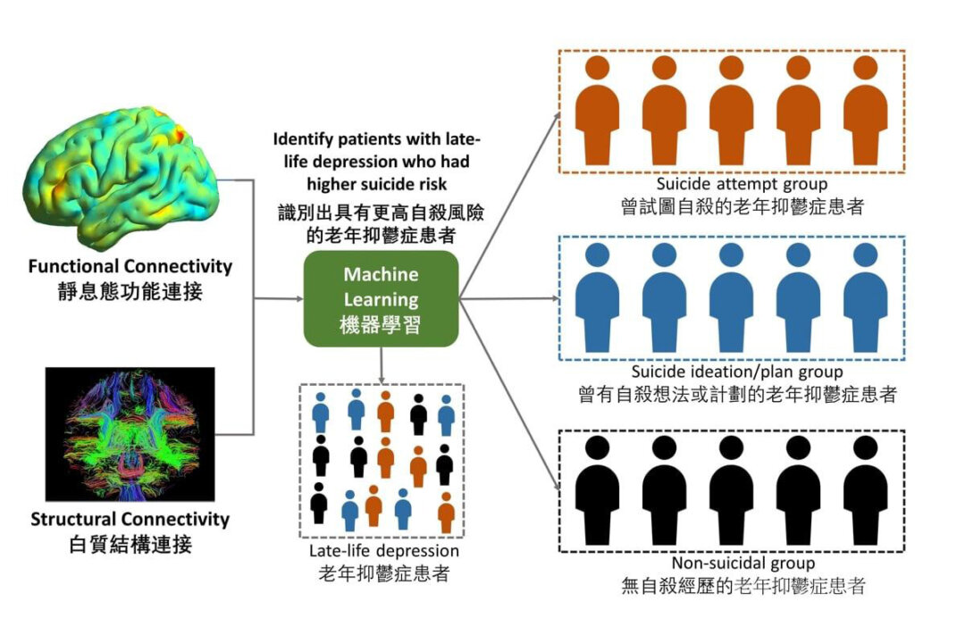 Diagram sequence to explain the mechanism from research findings. (Courtesy of HKU)