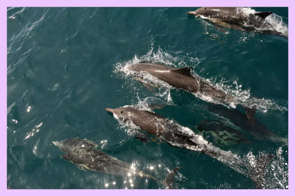 Epoch Times Photo