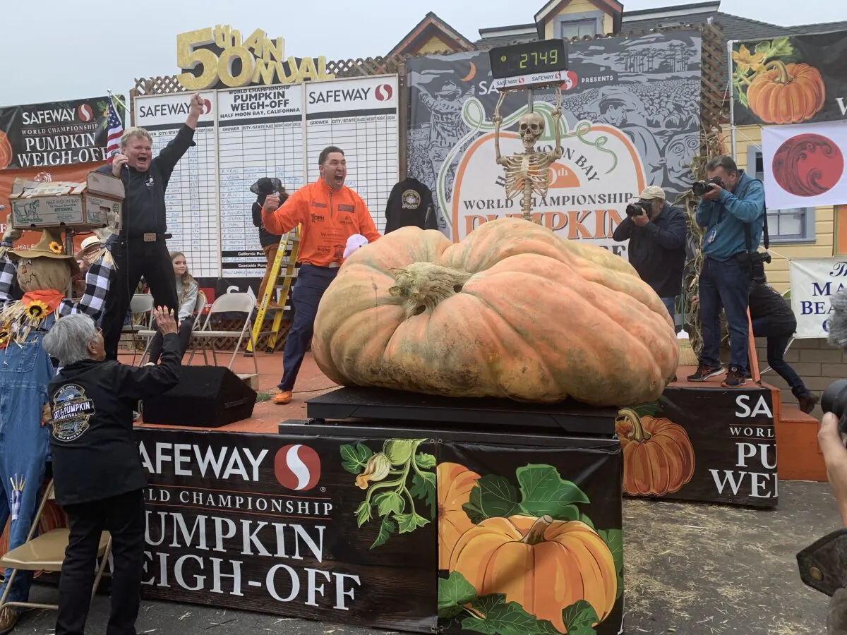 Travis Gienger celebrates after setting the new world record for heaviest pumpkin at the Safeway 50th Annual World Championship Pumpkin Weigh-Off in Half Moon Bay, Calif., on Oct. 9, 2023. (Helen Billings/The Epoch Times)