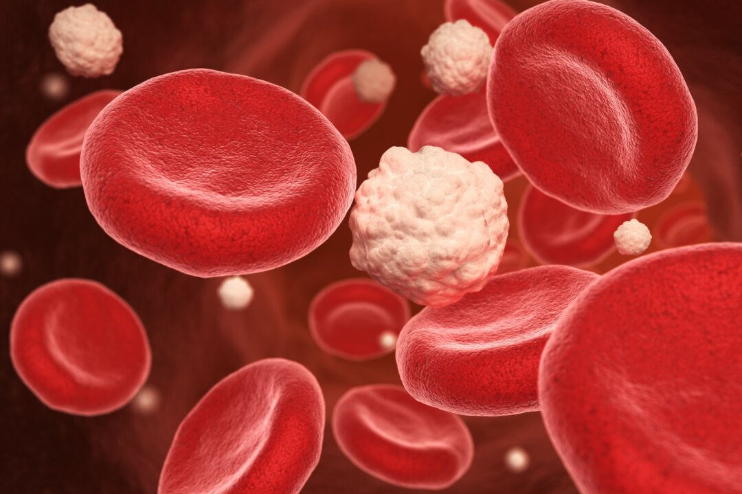 Blood cells and glucose in the vein. 3D illustration