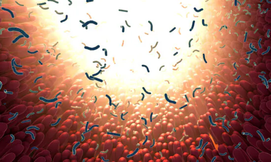 Our Gut Bacteria Change During the Day, Often Overlooked in Research