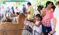 Thousands Celebrate Cultural Diversity at 22nd Annual Irvine Global Village Festival