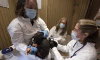 New Vaccine Expected to Give Endangered California Condors Protection Against Deadly Bird Flu