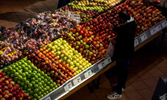 A Third of Canadians Have Borrowed Money to Pay for Food, Other Necessities in 2024