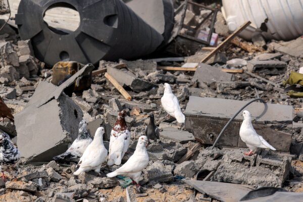 Epoch Times Photo