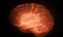 How Overeating Added Sugar May Lead to Mental Disorders