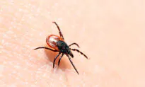 Ticks and the American Spirit