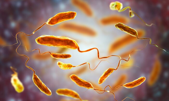 Nasty Bacteria Spreading in the US—Here Are the Symptoms