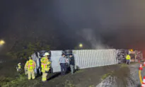 14 Cows Killed, Others Survive Truck Rollover Crash in Connecticut