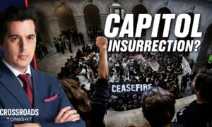 Palestinian Protesters Accused of ‘Insurrection’ After Demonstration on Capitol Grounds