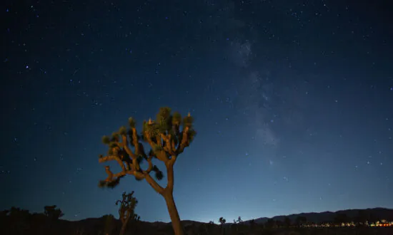 Want to Take Majestic Night Sky Photographs in the Desert? There’s a Class for That