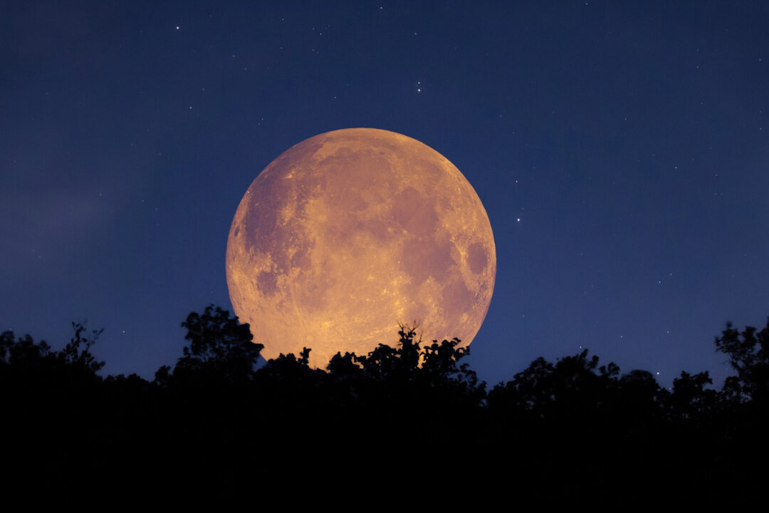Full ‘Hunter’s Moon’ Set to Grace the Autumn Night Sky in October 2023 ...