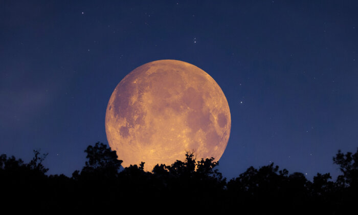 Full ‘Hunter’s Moon’ Set to Grace the Autumn Night Sky in October 2023—All You Need to Know