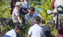 ‘2 Billion Trees’ Program Will Fall Short of Goal, Committee Hears