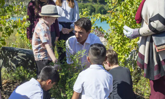 ‘2 Billion Trees’ Program Will Fall Short of Goal, Committee Hears