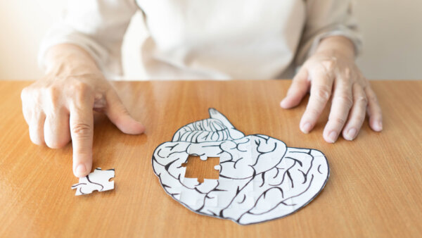 Beyond the Brain: Alzheimer's Discovery Explores Immune System Connection