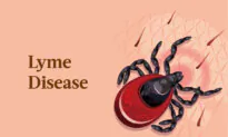 Lyme Disease: Symptoms, Causes, Treatments, and Natural Approaches