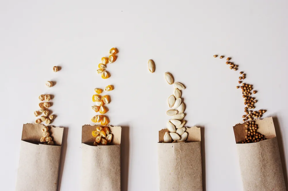 Saving seeds is an exercise in self-sufficiency. (Maria Evseyeva/Shutterstock)