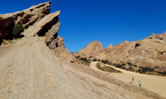 The Treasures of Agua Dulce