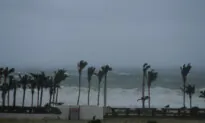 Norma Downgraded to Tropical Storm in Mexico as Hurricane Tammy Leaves Barbuda