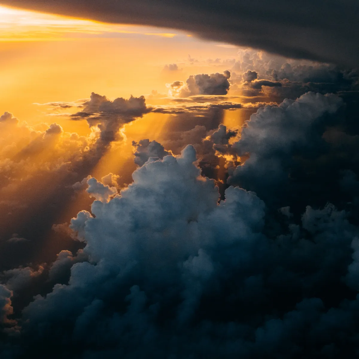 (Tom Barrett/Unsplash.com)