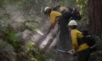 California Fire Season Winds Down as Rain, Snow Returns This Week