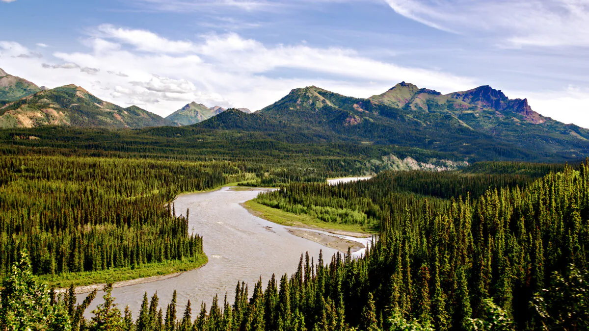 The Chulitna River and Alaska Range revealed from atop the Hurricane Gulch Bridge. (Maria Coulson)