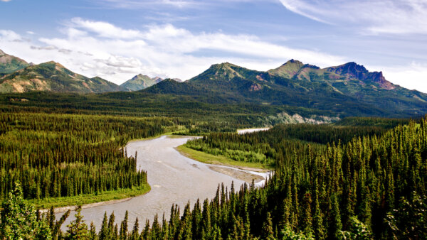 470 Miles of Alaskan Railroad Adventures