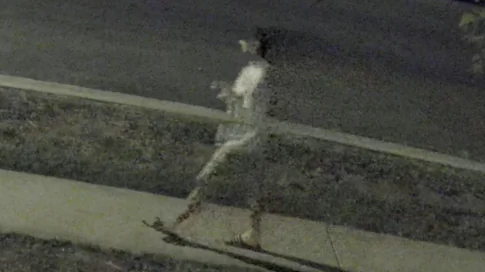 Los Angeles Police Arrest Man Suspected of Lighting American Flag on Fire