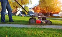 Fall Landscaper Questions