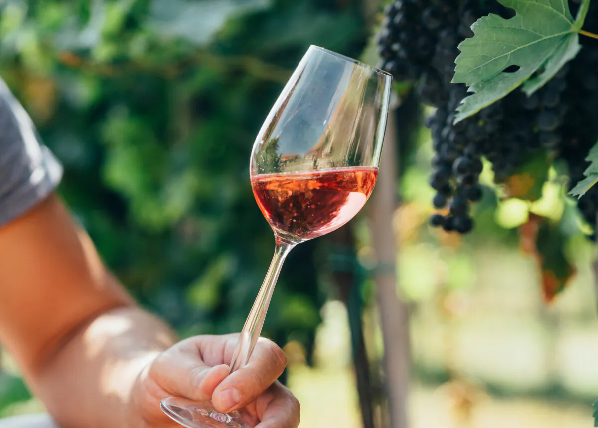 Red wines are getting sweeter. (Hitdelight/Shutterstock)