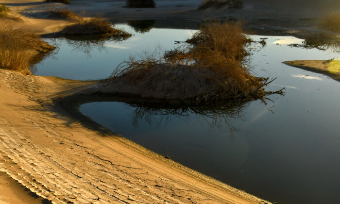 ‘I’ve Never Seen Anything Like This’: Death Valley Gleams With Water, Wildflowers, and Color