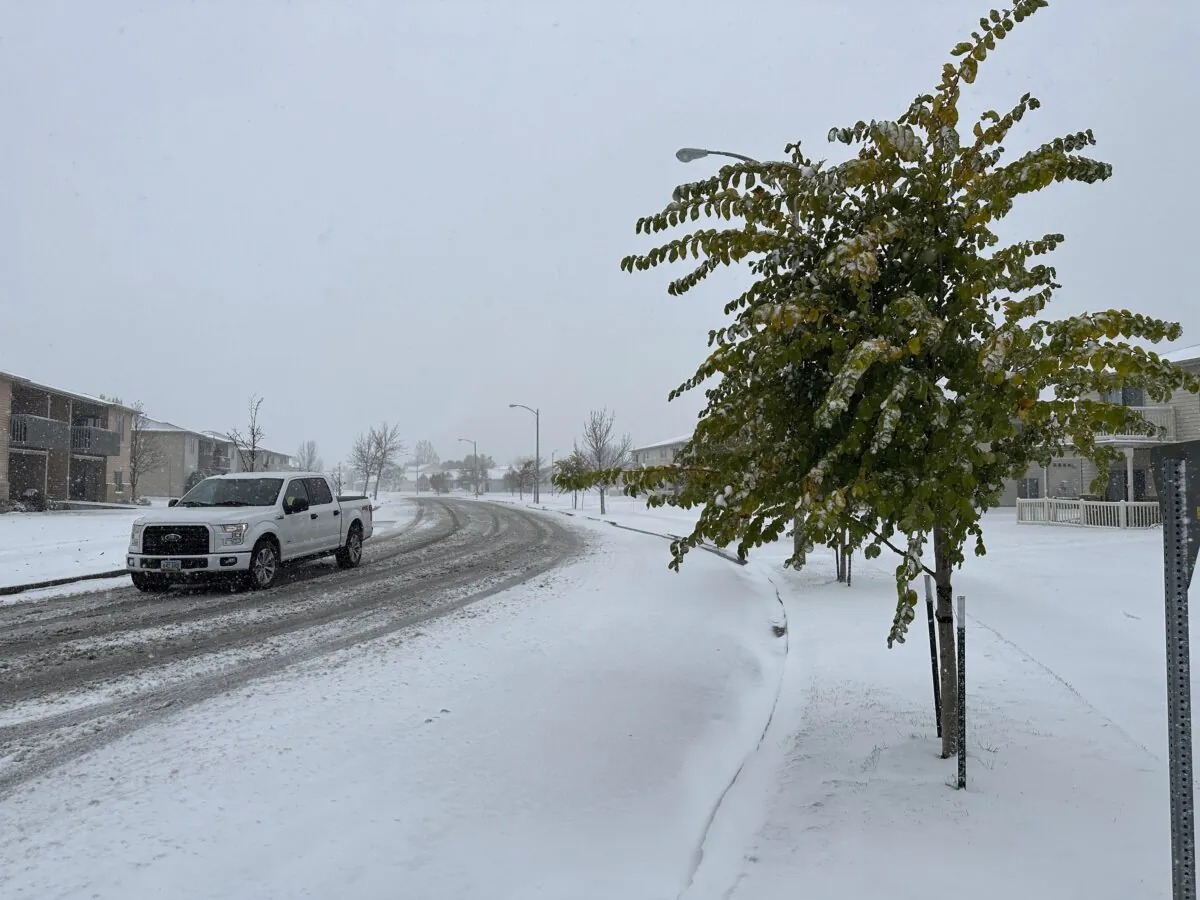 A truck drives past trees with green leaves as snow falls in Bismarck, N.D., on Oct. 26, 2023. (Jack Dura/AP Photo)