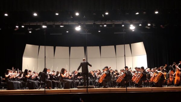 Beethoven: Symphony No. 7, II. Allegretto | Plano West Symphony Orchestra