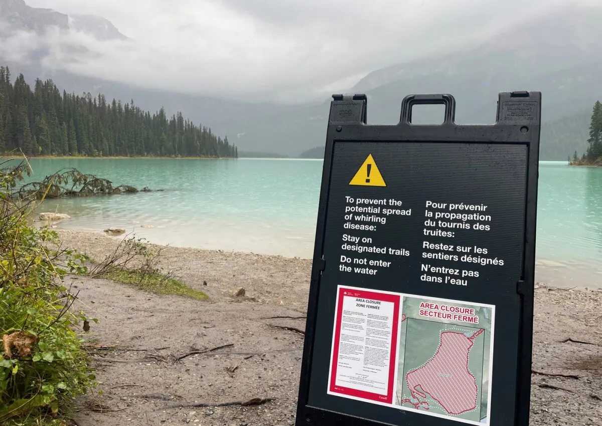 Yoho National Park signage is shown in this handout image. (The Canadian Press/HO-Parks Canada)