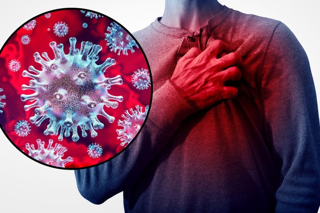 Recent research has found that the COVID-19 virus directly infects cardiac arteries, increasing the risk of heart attack and stroke. (Lightspring/shutterstock)