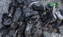 ISIS Claims Responsibility for Explosion in Afghanistan, Killing 4