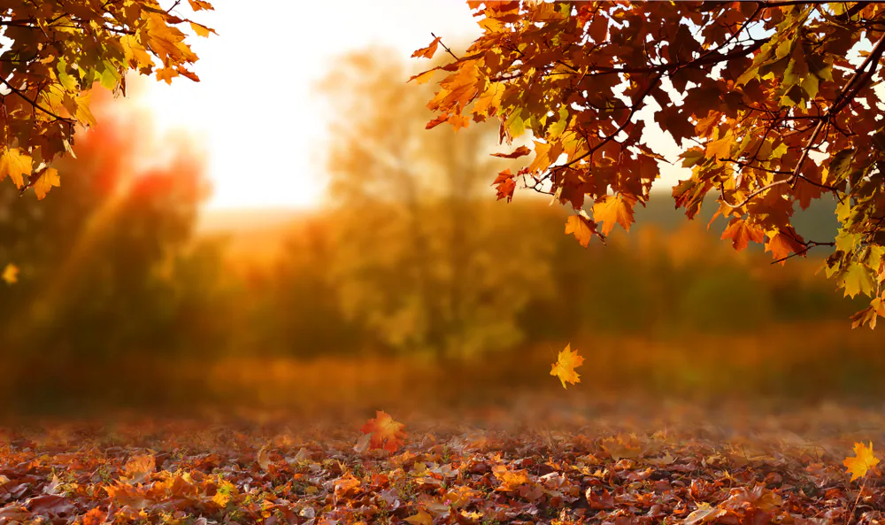 Autumn is given a beautiful poem by John Keats. (LilKar/Shutterstock)