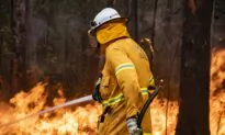 Firefighters Brace for Extreme Danger as Blazes Rage