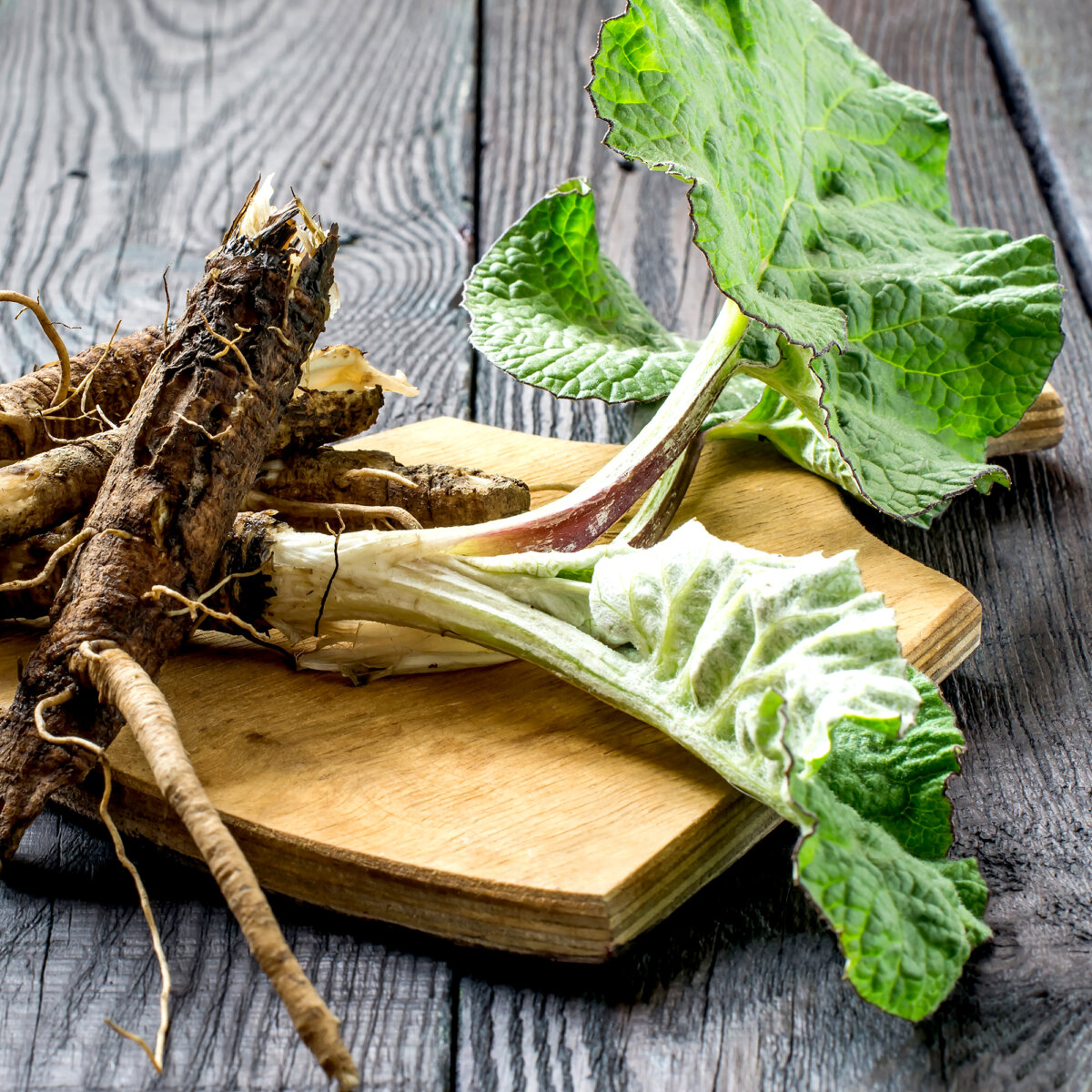 Milk thistle, dandelion root, and burdock root are three widely growing plant remedies that can help detoxify the body.(Shutterstock)