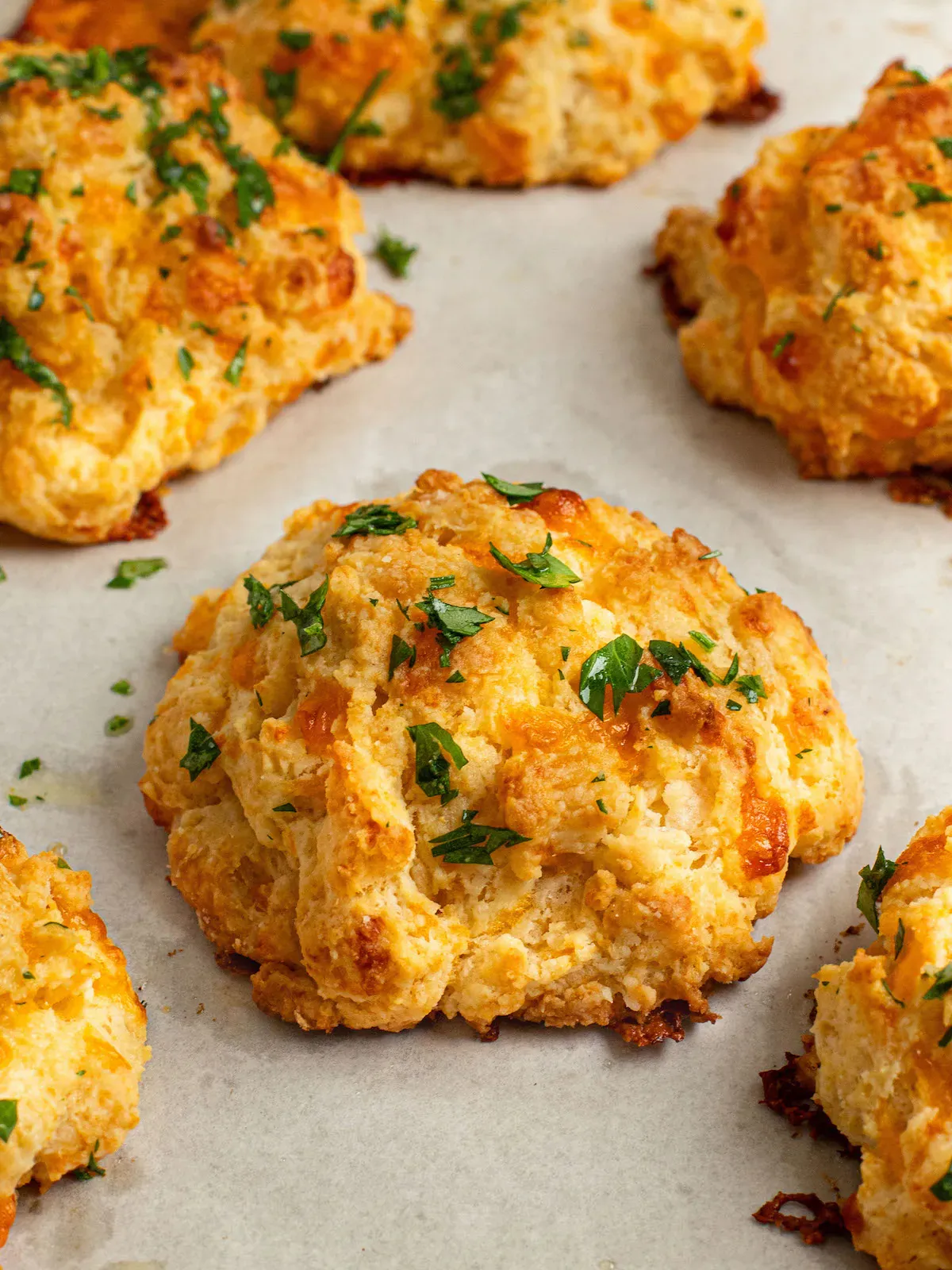 These cheesy, garlicky, herb-flecked biscuits have achieved cult-favorite status. (Courtesy of Jennifer Segal)