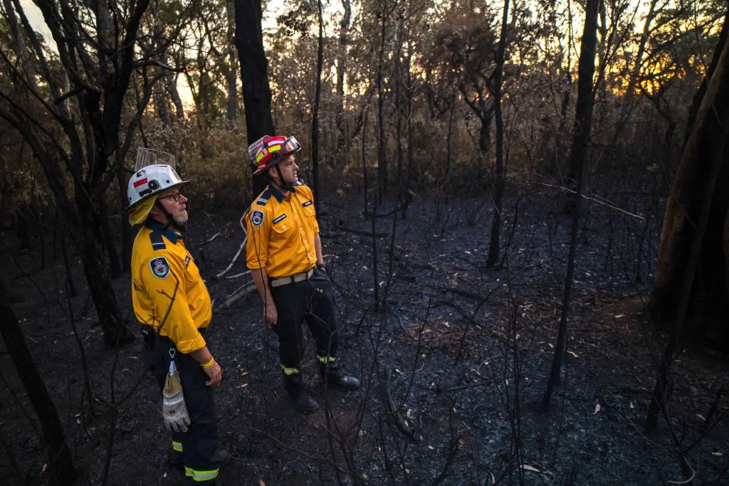 New South Wales Rural Fire Service volunteers Mark Davis (L) and Andy Hain are inspecting bushland after a hazard reduction burn at Hilltop, located south of Sydney. Australian firefighters are preparing what they predict will be the fiercest fire season since the monster "Black Summer" blazes of 2019-2020 on Sept. 15, 2023 . (Photo by ANDREW LEESON/AFP via Getty Images)