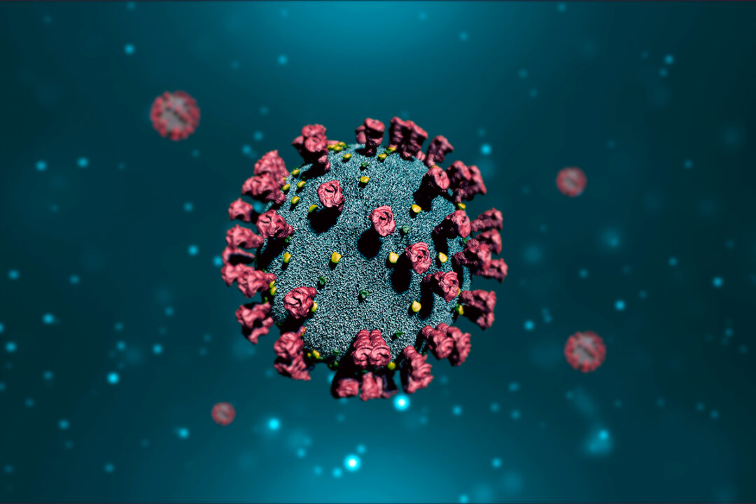COVID-19 virus. (Kitreel/Shutterstock)
